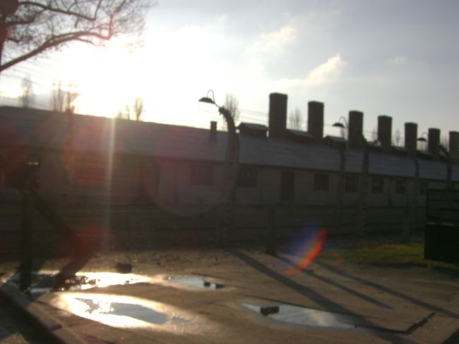 約１週間の行程のうち、太陽に恵まれたのは皮肉なことにこの日一日のみでした。気温は凍えるように寒かったですが、太陽が昇っていて良かった。でないと余りにも気が滅入ってしまいそうだったから。