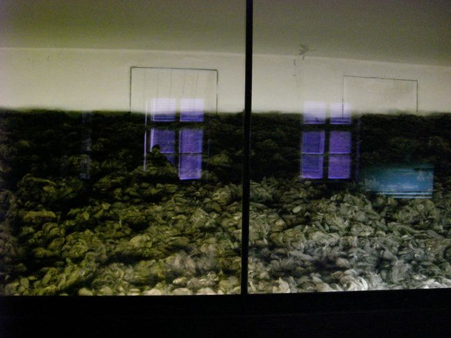 女性から刈り取られた髪。この髪ですが、本当に大量に展示されています。写真に収まりきらないくらい。写真では伝わらないのが残念ですが、私も実際に見てみて、あまりの量に本当に驚きました。