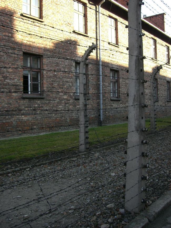 収容所全体を囲っている高圧電流が流れる鉄条網。現在はもちろん電流は流れていません。当時はこれに触って自殺する人も居たそう。