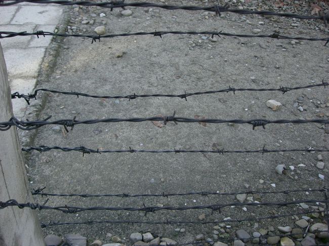 実際に触れてみました。痛い。<br /><br />この収容所を回っていて思ったのは、寒さが辛かっただろうな、ということ。私は暖かいダウンを着てたから何とか耐えられましたが、それでもかなりの寒さです。当時の人々は薄い囚人服で過ごしていたのかと思うと、本当に背筋も凍る思いがします。