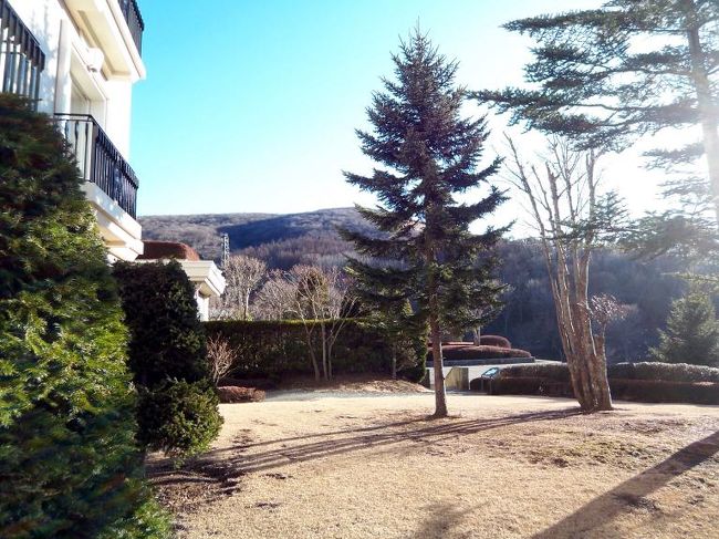 お部屋の前からの眺め?