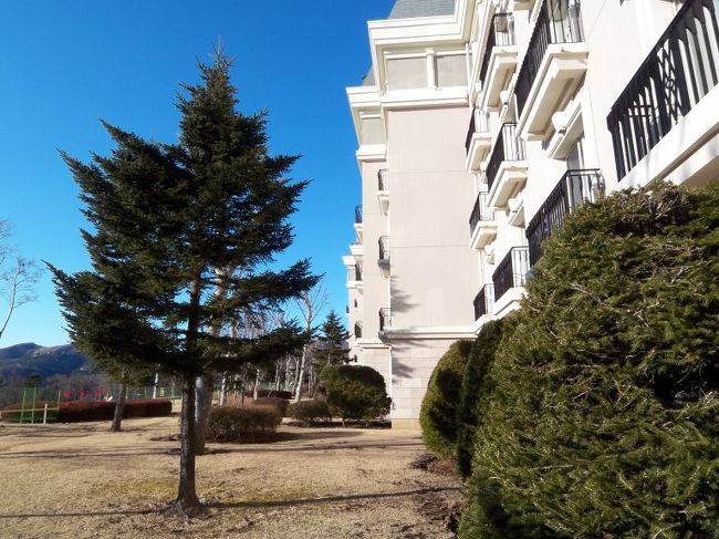 お部屋の前からの眺め?