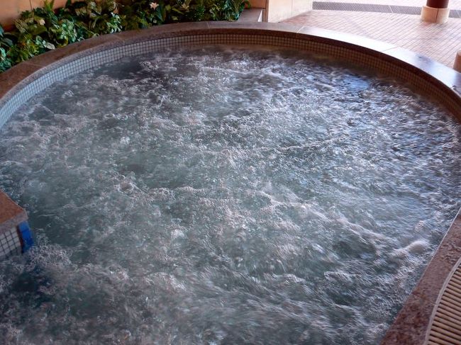 バイブラーバス