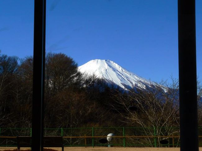 大きな窓からは真正面に富士山が見えます