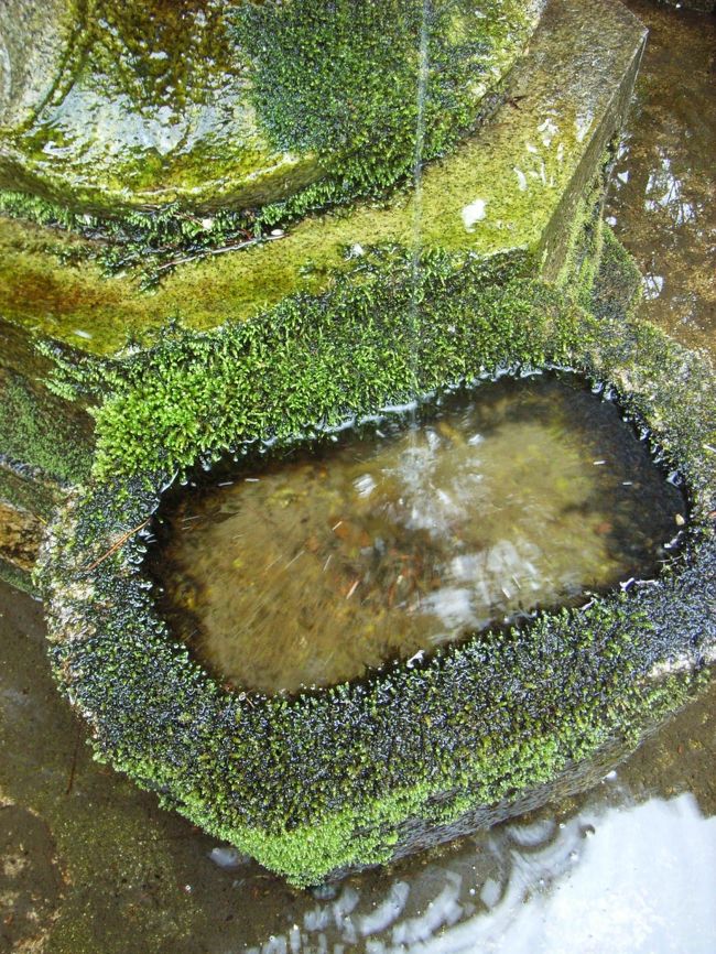 その水が、したたっているところ