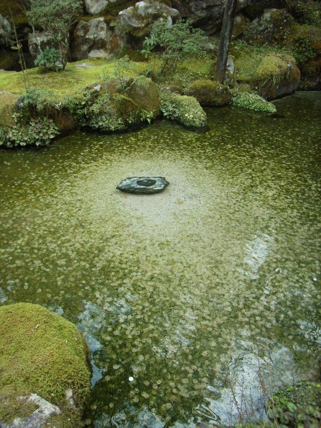 銀閣寺の池