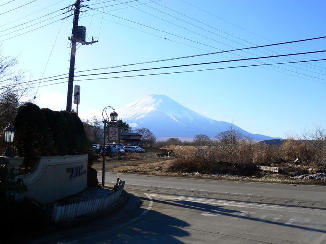 ホテル入り口まで降りてきました