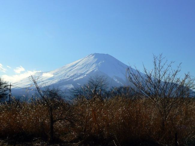 ホテルジャパン山中湖前からの富士山