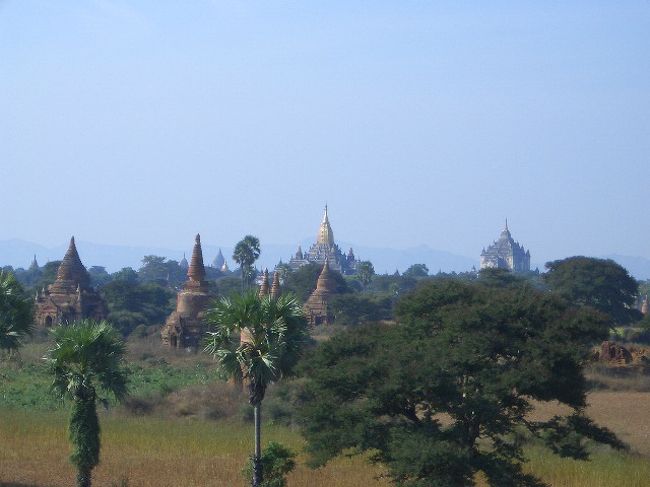 真ん中に見える寺院がバガンで最も美しい「アーナンダー寺院」