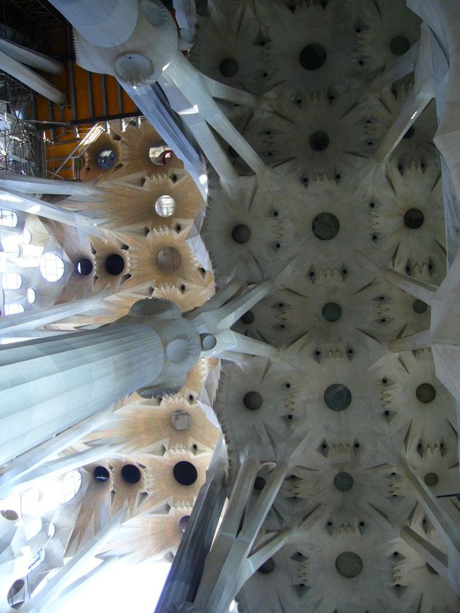 サグラダファミリア内部の柱が、まるで木が空へ伸びているようなつくりになっています。自然のモチーフを重視したガウディらしい。