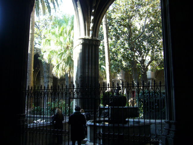 カテドラル内部のパティオ。なんと白鳥までいました。