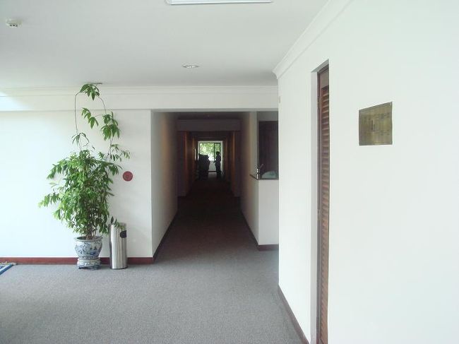 その内部。夜になるとこの真っ白い壁に、ヤモリかイモリか知らんが、いーぱいです。