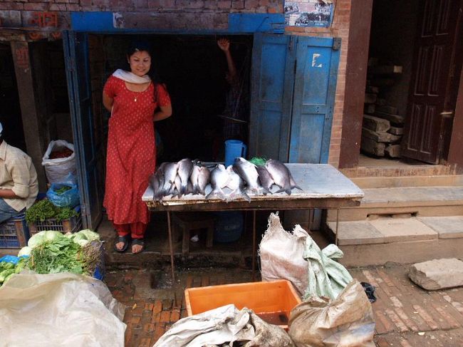 魚屋さん。淡水魚だろうな。