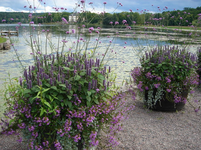 ずっといたい！という気持ちになる素晴らしい町でどこを撮っても絵になります。