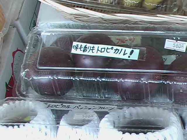 　これ、マンゴスチン？（我が家にはマンゴスチンの木があります。）