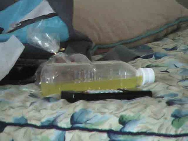 　シークヮーサージュース。