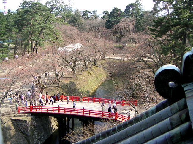 なのに桜祭りはしっかり賑やかで、すごい人、人・・。<br />白い壁の天守閣に立派な門、石垣にお堀に赤い橋・・それなりに見ごたえがあった。