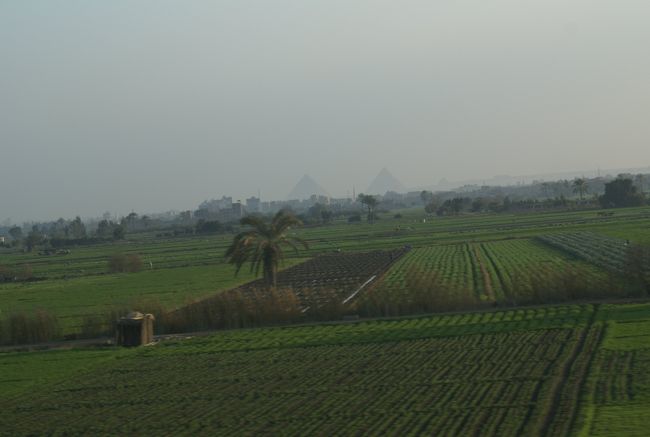 16：25<br />ギザに差し掛かると、畑の彼方にピラミッドのシルエットが見えてきました。