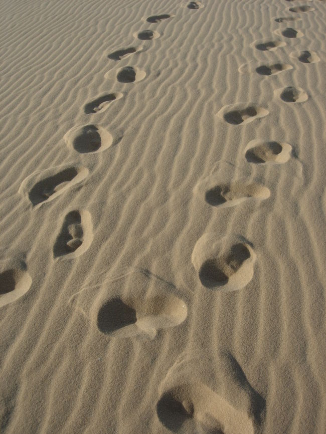 Fev.4, 5pm sunny, 30℃, Duna<br />日中は、宿泊したポザダ（民宿）Hannah Beach Pousadaのプールで休み、夕方から海への日没を眺めに砂丘へ。風が砂を舞わせ、砂の模様は綺麗だけどなかなか上りや立ち止まるのもきつい。<br />