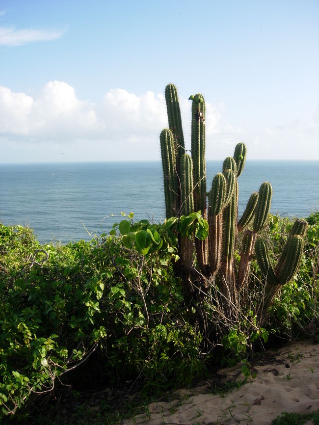 Fev.5, 7am sunny, 30℃, <br />暑いのでまたしても早起きし、ペドラ・フラダを目指す。サボテンの生える砂丘抜けていきます。片道役2キロのトレッキングは、日中は相当辛いのでは・・・。ガイドなしでもたどり着けます。