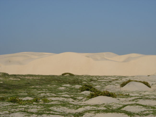 Fev.7, 4pm sunny, 30℃<br />ジェリへ戻る道中。国立公園の風景。