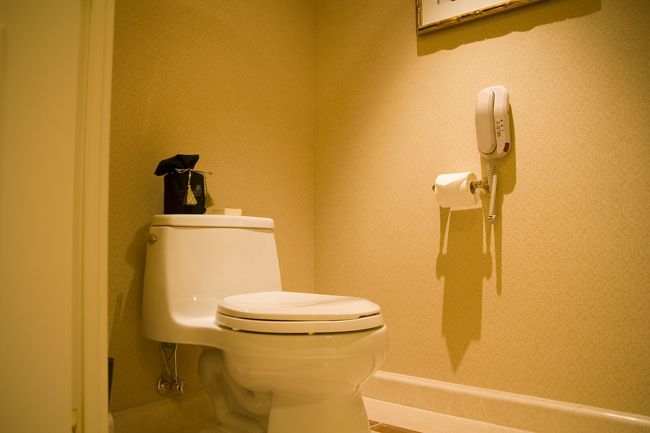 トイレの撮影。<br /><br />うむー。<br />この写真だけ見ると、単なるヘンタイさんですね。<br />ヘンタイさんにはなりたくないので……。<br /><br />ここの便座のラインが美しい。<br />やはり、Venetianはいい便器を用意しているな。<br />この白色の輝きが……と評論家ぶってみる（笑）。<br />