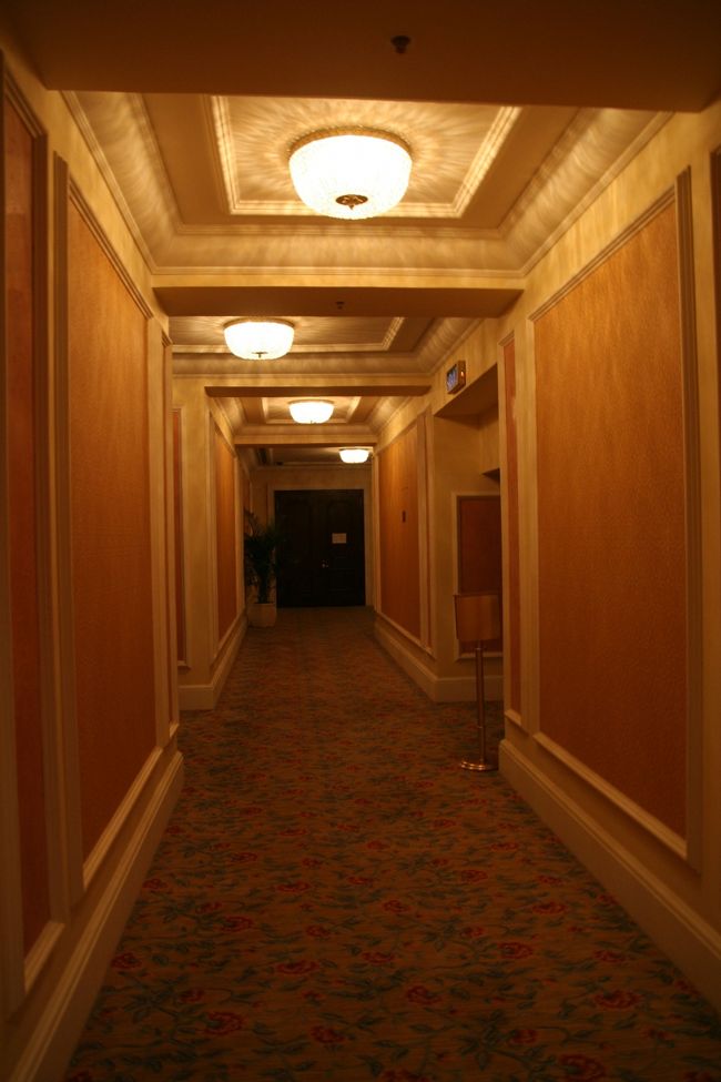 玄関横にThe Grand Canal Shoppesへの直通のエレベータが。<br />またThe Grand Canal Shoppesへ行ってみるな。<br /><br />で、降りた先の回廊。<br />長いです。