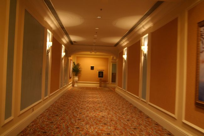 次の撮影ポイントはプール。<br />どんなプールが待っているのだろうか？<br />わくわく。<br /><br />……と長い回廊を歩いた先にあったのは……。<br /><br /><br />「CLOSED」の看板。<br /><br />もっと前から案内してよ。<br />かなり歩かされました（涙）。