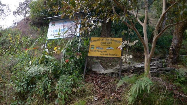 フェディのトレイルへの登り口。<br />いきなり急登りのトレイルが始まった。<br />（13:43） <br />急登りのトレイルはそれ以後そんなたくさんはなかった。