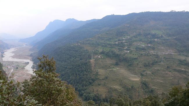 山頂近くまで広がるフェディの棚田 