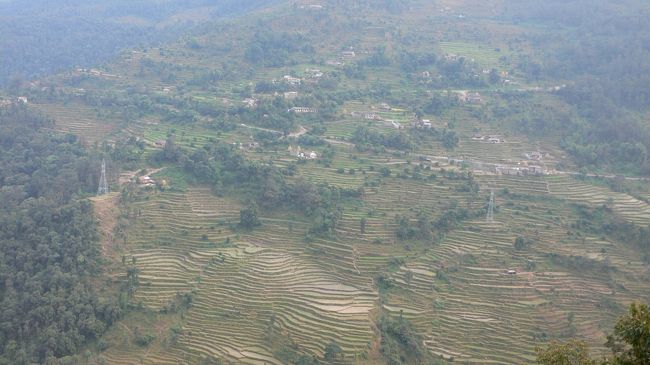 山頂近くまで広がるフェディの棚田 