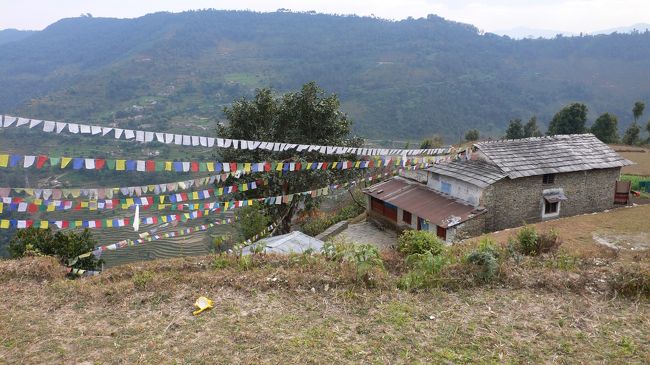 Tarchog（タルチョ）・祈祷旗はためく棚田 