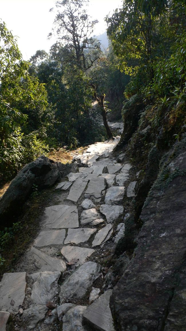 石畳が敷き詰められたトレイル。<br />