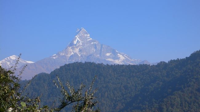 青空に映えるマチャプチャレ。<br />Pothana(ポタナ・1890m地点）とDeurali（デオラリ・2100m地点）の途中より。<br />