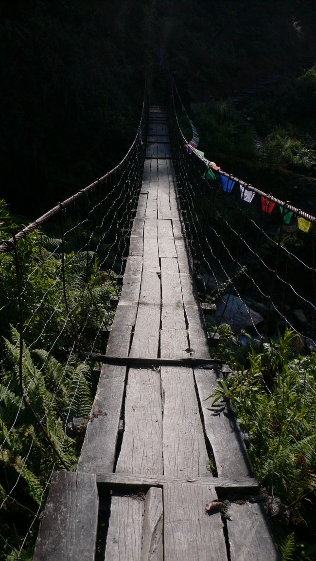 つり橋を渡る。