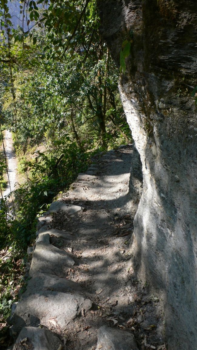 狭いトレイルをゆく。<br />