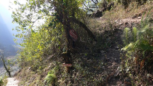 ニューブリッジ付近の分岐で見かけた道標。<br />分岐でもなかなか見かけない数少ない道標。<br />