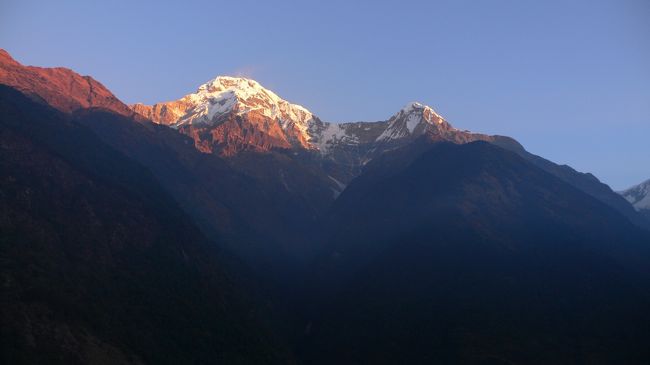 チョモロンで見えた朝のアンナプルナ・サウスとヒウンチュリ（午前7:00） 