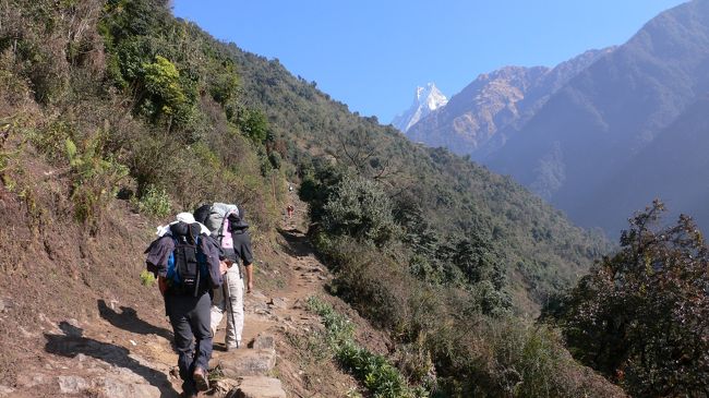 前方にマチャプチャレが見える方面に向かって歩く。