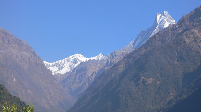 休憩したSinuwa（シヌワ・2360m）より望む<br />アンナプルナとマチャプチャレ。<br />