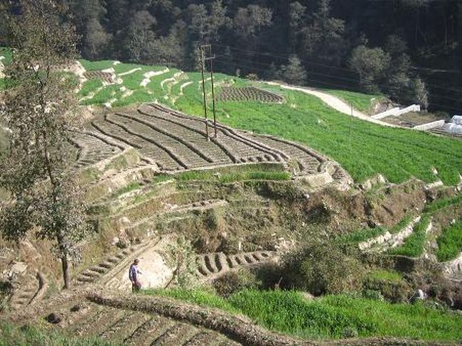 ナガルコットまではバスを乗り継がなくてはいけない。ラーニ・ポカリという池の真ん中にお寺のあるところの南側にあるバスパークからミニバスで先ずはバクタプルへ(30ルピーだったけどぼられた気がする)。ミニバスはぎゅうぎゅうづめで、立ち乗り＆ドアからはみ出している人もいて、イエメンのダッバーブ同様ドアが開いたまま走る。かなり渋滞していたので1時間以上かかってやっとバクタプル到着。ここで大きなバス(確か32ルピー)に乗り換え。バスは大きいけれどももう中は一杯。上の荷台はまだかなり余裕があったので(そう、そんなところにも人が乗るのです)、そちらに乗ることに。基本的に男性オンリーらしく、女性は私一人、観光客も私一人で注目されたけど景色は最高だし、日本ではできない体験でおもしろかった。<br /><br />