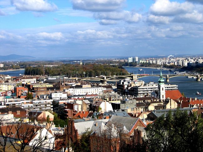 ドナウ川上流に島がある。