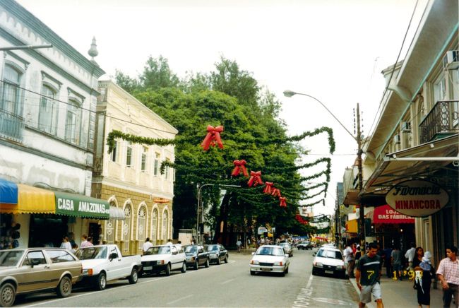 サンパウロからバスで８時間ほど走り、クリチバまで行きました。クリチバはサンパウロとは違い、静かできれいな街です。