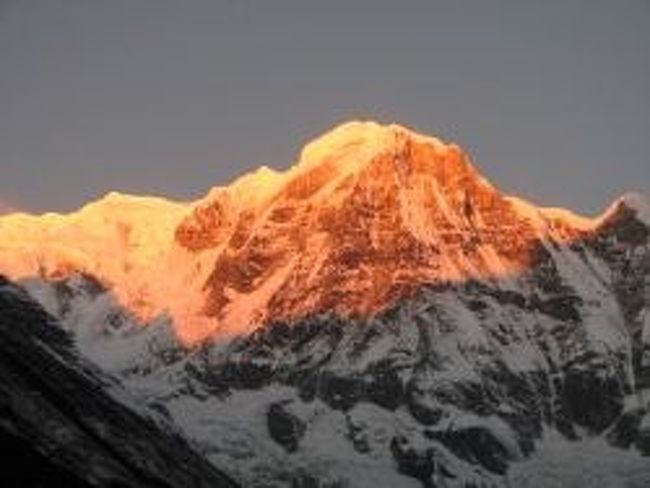 MBCから見える朝焼けに染まるアンナプルナ。<br />