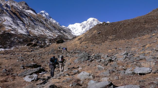 Machhapuchhre BC(MBC・3700m）からAnnapurna BC(アンナプルナ内院・4130m）へ移動。<br />早くもABCから下山してくる人達とすれ違う。<br />早い人達はチョモロンまで戻る人達もいる。<br />