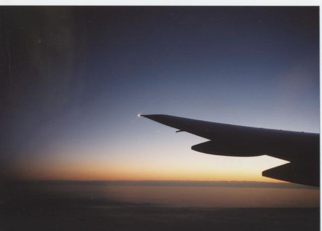 フライトは、大韓航空を利用しました。