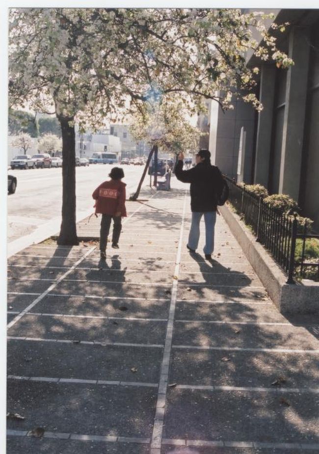 桜が満開でした。<br />でも、2月です。