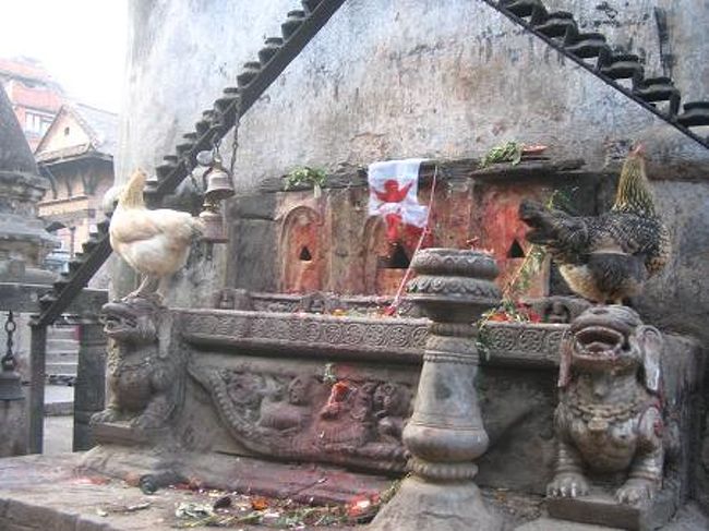 両脇に鶏が並んで絵になっていたので撮影。<br /><br /><br />午後6時ごろ、そろそろカトマンドゥに帰らなきゃと思いバス乗り場へ行ってみると、なんとバスはないという。デモで道がブロックされているのだ。でもあんなにたくさん観光客がいたのに！絶対何かしら帰る方法はあるはずだと思い、再度ダルバール広場に戻り、タクシー？と聞いてみる。普段はタクシー？と客引きに話しかけられる立場なのに反対のことをしている自分が滑稽。それでもやっぱりタクシーは見つからない。再度車道に出て、同じことをするが全然見つからない。こうなったらヒッチハイクしかない、と通り過ぎる車を止めようとするが、どの車も一杯で止まってくれない。どうしよう・・・・真っ暗になってきたし、もう今夜はバクタプルに止まるしかないかなと諦めかけたころ、600ルピーでタクシーを手配してくれるというおばちゃん登場。相場は400なので高いけど、もうこの際いくらでもいい。少し待つと若い男の子がバイクで登場。車じゃなくてバイクでカトマンドゥまで連れて行ってくれることになった。バイクなのに600かよ、と思ったけど、バイクで正解だった。というのも途中道は検問で大混雑で、車だとかなり足止めをくらうからだ。バイクならそんな隙間をすいすいとおれる。ノーヘルで60キロ出して真っ暗な道を爆走するのは結構怖かったけど、おかげでスムーズにカトマンドゥに戻れた。生きててよかった・・・<br /><br />その足でチャンドラさんのいる旅行会社へ行き、ツアー代金を返金してもらう。事情が事情とはいえドタキャンで全額返金は申し訳ないなと思ったのだけど、向こうも謝ってくれ、目先の儲けだけを考えず、長い目で見たお客さんとの関係とか評判をしっかり考慮しているのがプロだなと思い感心。<br /><br />ちょうど旅行会社の近くに地元で有名なチベット料理屋さんがあるので行ってみた。従業員がみんなチベット系の顔なのがおもしろかった。リーズナブルだし、とてもおいしくて大満足！<br /><br />くたくたになった足を引きずりながらホテルに戻る途中、自転車に乗ったネパール人の男の子に話しかけられた。どこ行くの？ときかれたので、ホテルに帰るの、というと、一緒におしゃべりしない？というので、疲れたからと断ると、マッサージしてあげるよ、だって。いや結構です、というとdo you wanna have s○x with me?だって！このくそガキがー！なんてストレートなんだ。NO! Good night!といってバイバイするとあっさりと引き下がったけど、Yesなんていう人いるのかな？どうみても10代前半の子供にしか見えなかったんだけどなあ････ホテルに戻ると停電なので、キャンドルの光で熱いシャワーを浴び、10時には就寝。