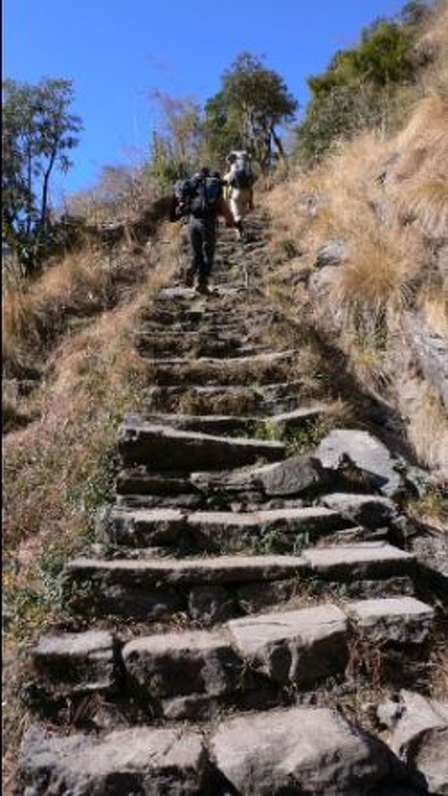 バンブー(2310m)からKuldhigar(2540m）への急な石段が続く。<br />
