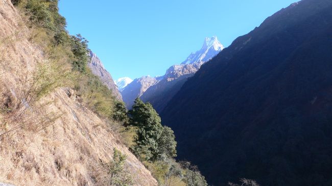 振り向いて仰ぎ見て徐々に離れるマチャプチャレとアンナプルナ。<br />